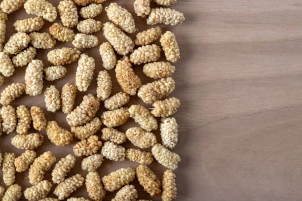 خرید و فروش توت سفید خشک صادراتی با شرایط فوق العاده